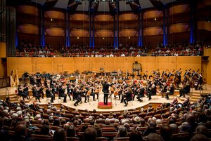 Das Gürzenich-Orchester in der Kölner Philharmonie. Foto: Holger Talinski