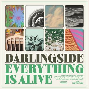 Darlingside Everything Is Alive