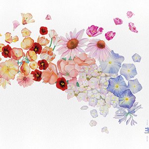 Gretchen Parlato – Flor