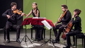 Das Adelphi Quartett im Konzert in Heidelberg. Bild: studio visuell