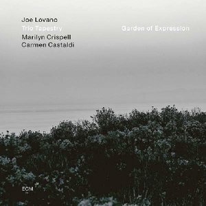 Joe Lovano Trio Tapestry | Garden Of Expression