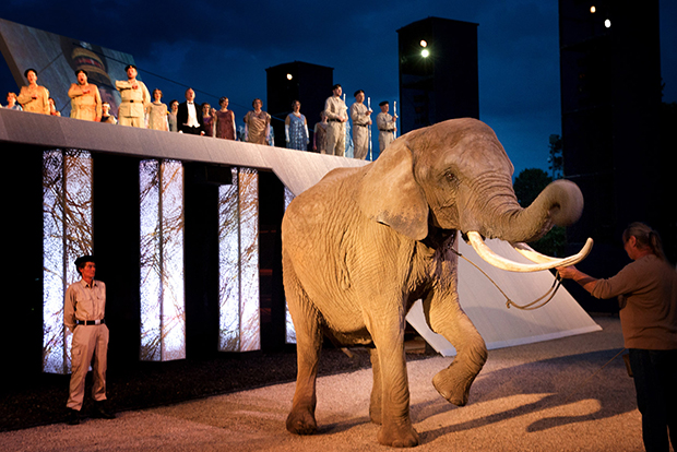 Freilicht-Aida mit Elefant vor dem Museum: Verdi in Schwerin. Foto: Silke Winkler 